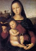 RAFFAELLO Sanzio, Solly Madonna